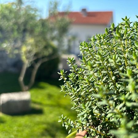 Appartamento Va Kastav Esterno foto
