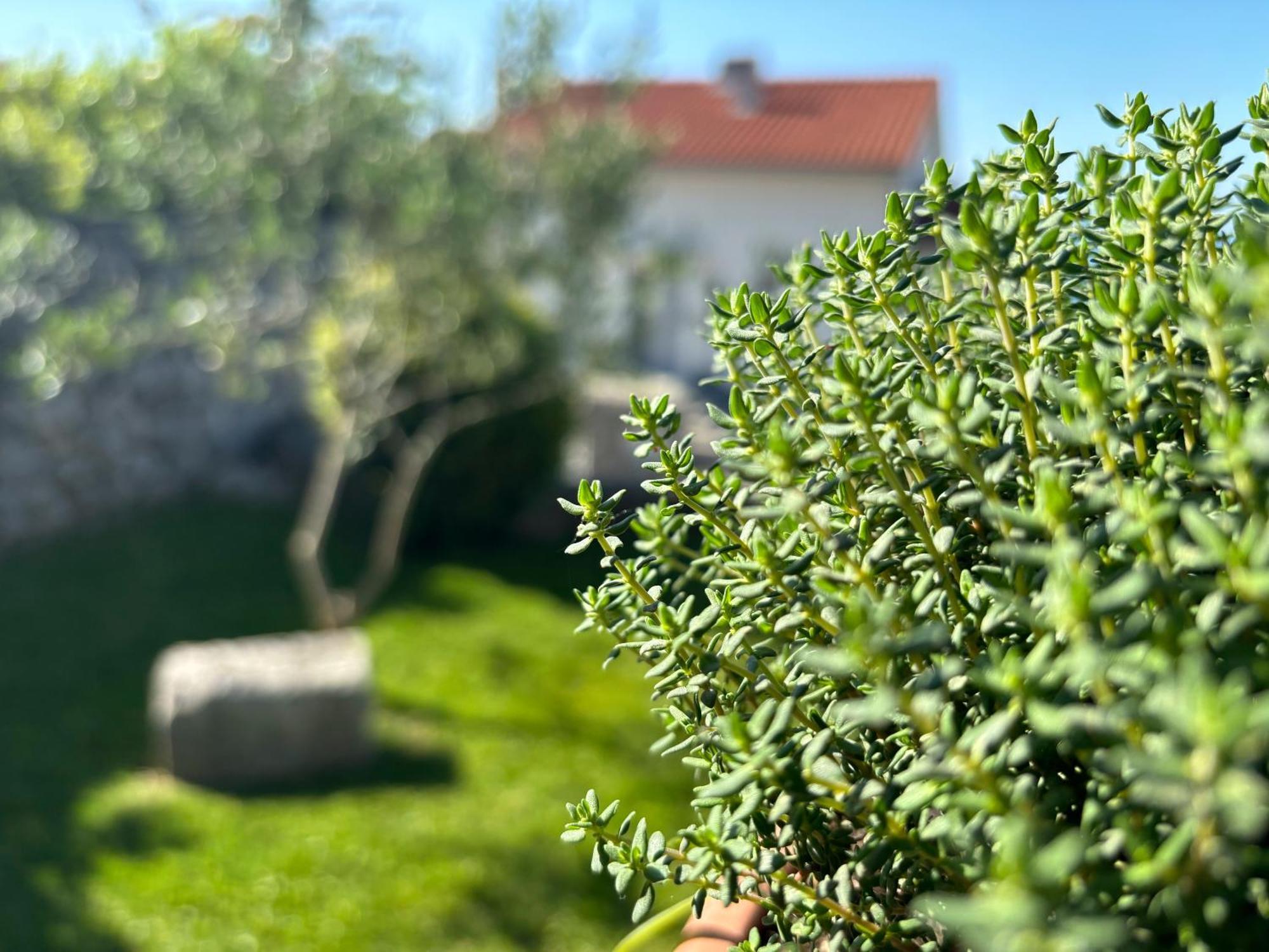 Appartamento Va Kastav Esterno foto